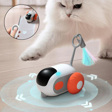 Cat Interactive Smart Car Toy